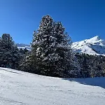 Garden Park * Interlaken