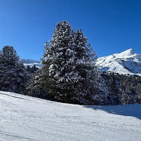 Garden Park * אינטרלאקן