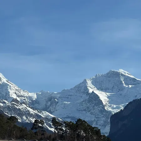 Garden Park Dom wakacyjny *